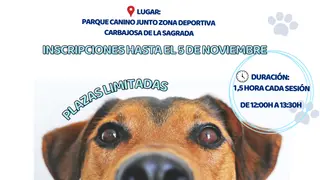 Abierto el plazo de inscripción para los micro talleres de adiestramiento canino de Carbajosa de la Sagrada - Ayuntamiento de Carbajosa