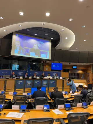Castilla y León aboga en Europa por una estrategia global y fondos específicos para combatir la despoblación rural