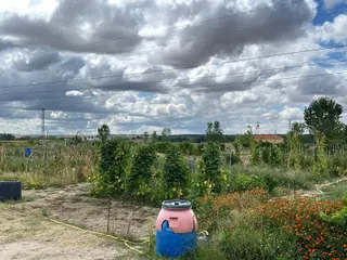 Huertos familiares en Villamayor de Armuña