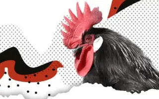 Concurso Morfológico de la raza Castellana Negra en Pedrosillo el Ralo
