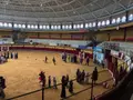 Actividades de Halloween en Alba de Tormes 
