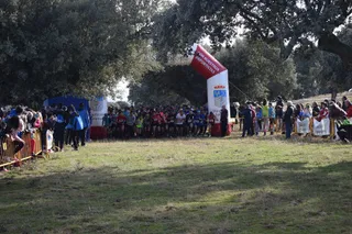 Carrera Taurina (168)