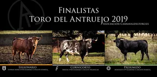 Cartel de los 3