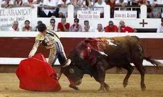 Una oreja para Juan del Álamo en su segunda tarde en Dax