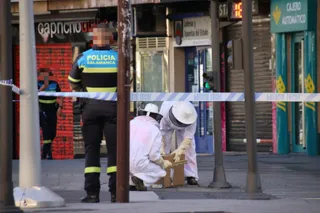 Los bomberos retiran un enjambre de abejas en la Puerta de Zamora. Archivo
