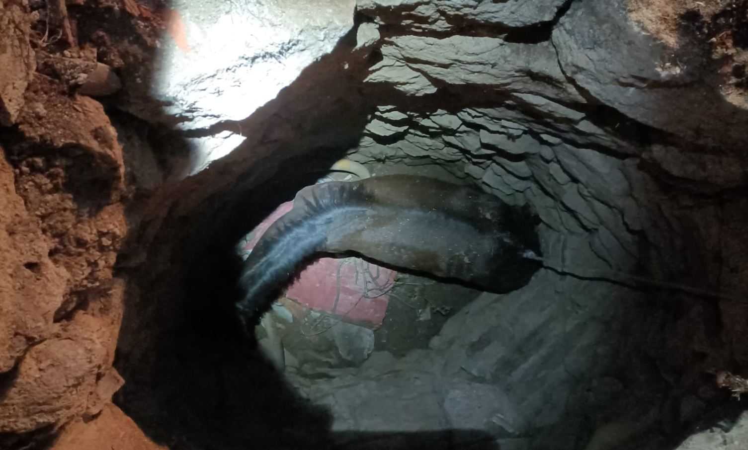 Caballo Rescatado En Béjar Tras Caer a Un Pozo De Tres Metros