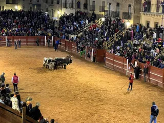 Desencierro de domingo de Carnaval en Ciudad Rodrigo (3)