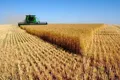 Ganaderos y agricultores de Castilla y León reciben la última ayuda agroambientales de la Junta