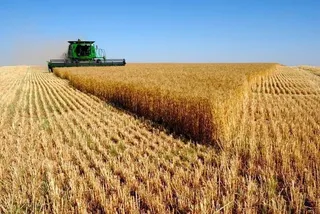 Ganaderos y agricultores de Castilla y León reciben la última ayuda agroambientales de la Junta
