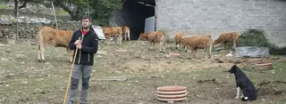 GANADERO upa