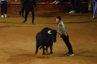 Capea y desencierro de tarde de lunes en el Carnaval del Toro 2026 | Mateo G.J.