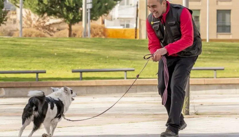 Pedro Bautista Educación canina (1)