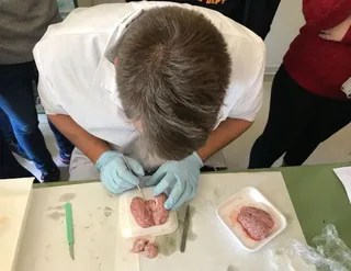Practicas de laboratorio
