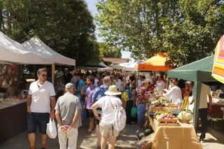 Mercadillo campesino en Miranda de Azán