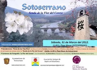 Los amantes del senderismo tienen una cita por la Sierra con la Floración del Cerezo