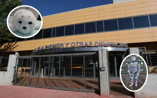 CRE Alzheimer Salamanca junto a robots del Gobierno de España