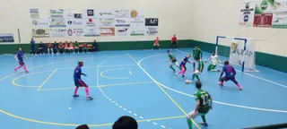 Imagen del Albense FS - Ribeira de Piquín FS.