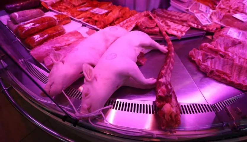 Mercado Central