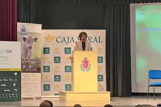Semana de la Carne Vitigudino