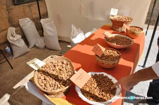 Saucelle Feria Almendra (75)
