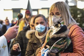 Bendición de un perro en San Antón Campillo (Agencia ICAL) (4)
