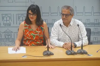 Las Comisiones Especiales deberán ser presididas por quien el comité decida