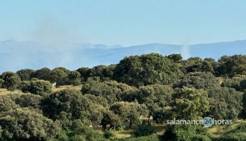 Incendio Guijo de Ávila