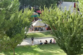 3er premio infantil Naturaleza en Ferias