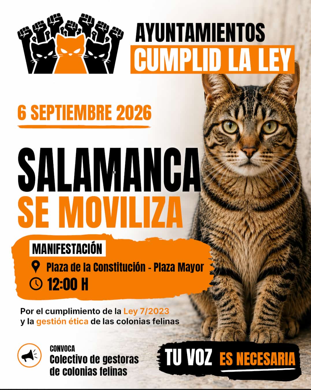 Cartel Sobre La Manifestación De Los Gatos Callejeros