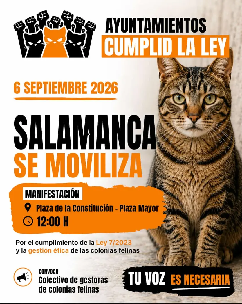 Cartel Sobre La Manifestación De Los Gatos Callejeros