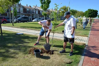 Proyecto Arbolar en Villares de la Reina