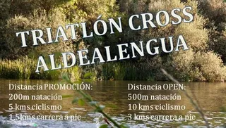 Cartel aldealengua