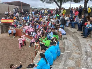 Segundo encierro con novillos de Valdeflores en Pereña de la Ribera | Salamanca24horas