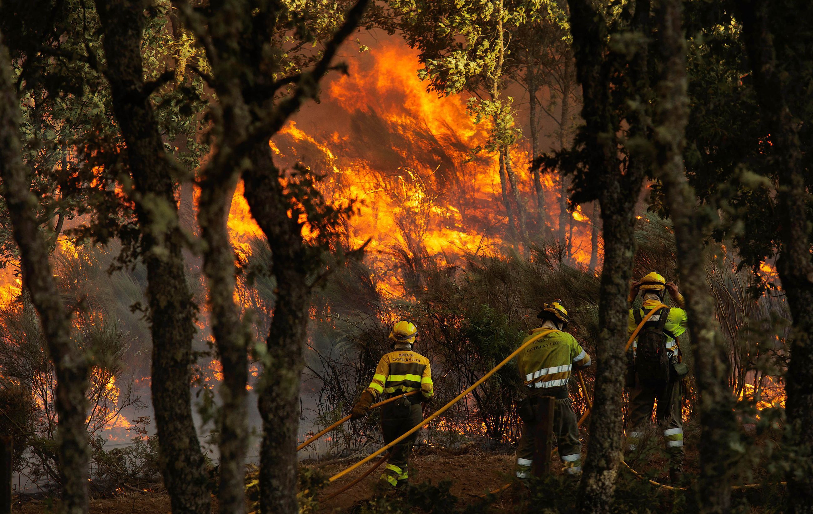 Incendio forestal en El Payo, ICAL Jos&eacute; Vicente (1).jpg