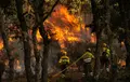 Incendio forestal en El Payo, ICAL José Vicente