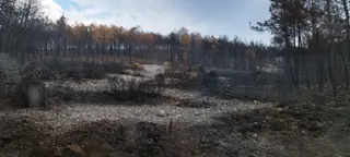 Incendio de Monsagro. Foto S24H