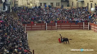 Novillada bolsín CR (2)