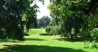 El Ayuntamiento ya ha actuado en más de 130.000 metros cuadrados para prevenir incendios y plagas