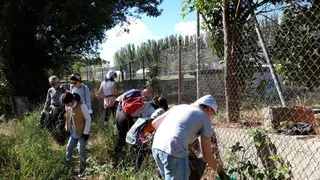 Recogida de basura en el río Tormes (3)
