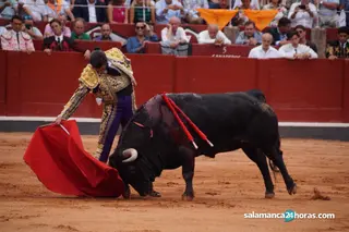 La justicia exculpa a la ganadería salmantina de Vellosino, acusada de recortar las astas de sus toros en una corrida en Huesca en 2018
