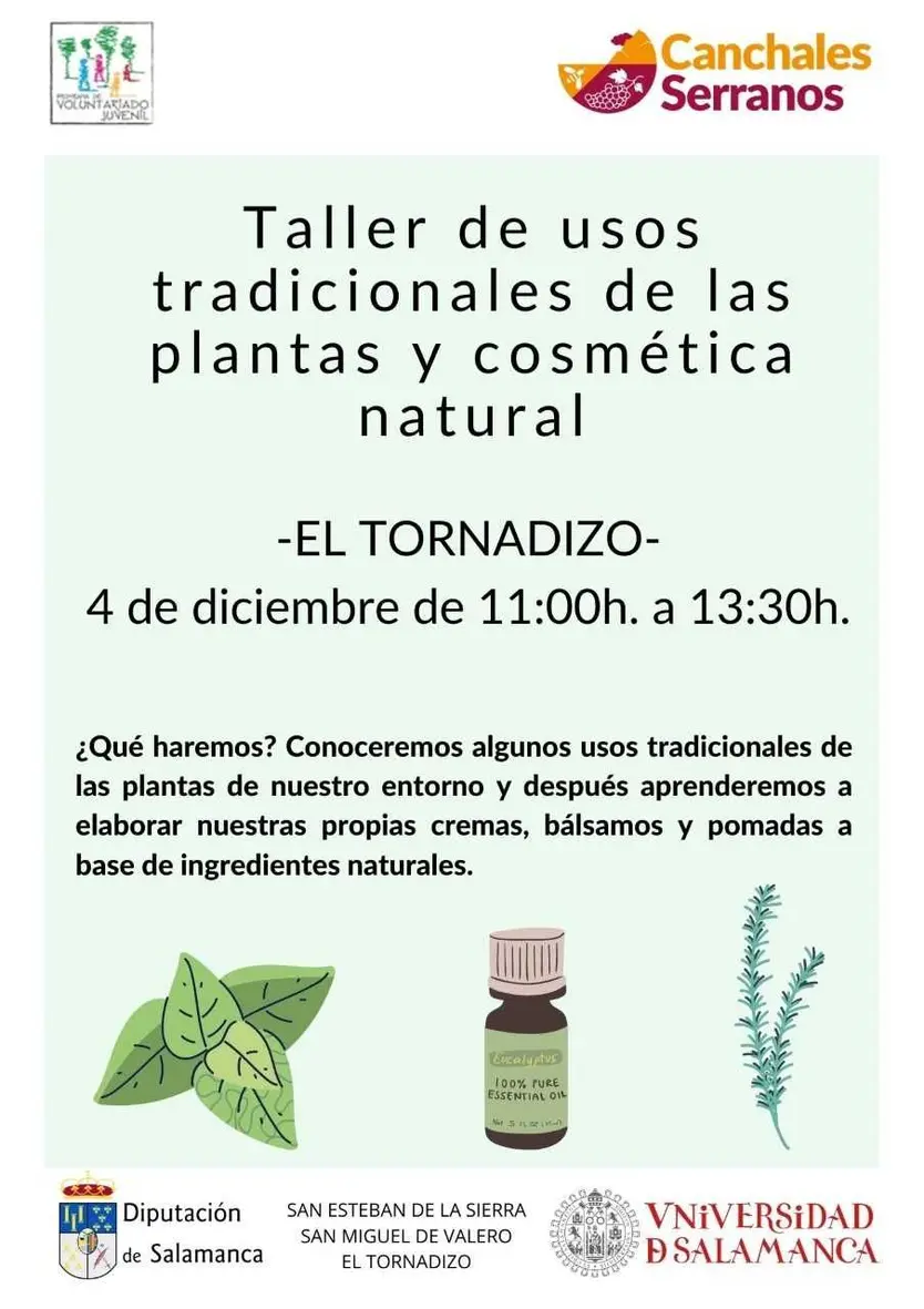 Cartel del taller