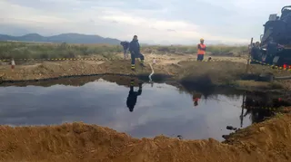 Técnicos supervisan un espacio natural. - COFEDERACIÓN HIDROGRÁFICA DEL SEGURA