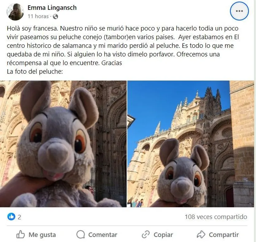 Peluche perdido