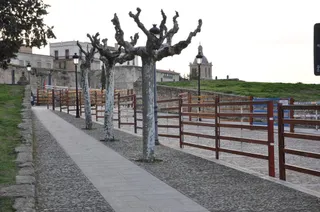 Ciudad Rodrigo Carnaval del Toro 2019 (2)
