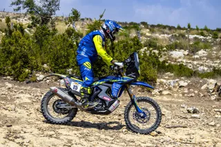 Shakedown AlkimSarac 0021