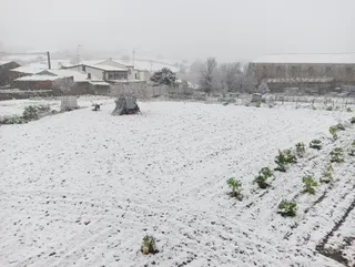 Nieve en Pereña de la Ribera, jueves 13 de febrero (1)