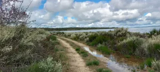 Sardón caminos anegados por el agua debido al crecimiento del pantano