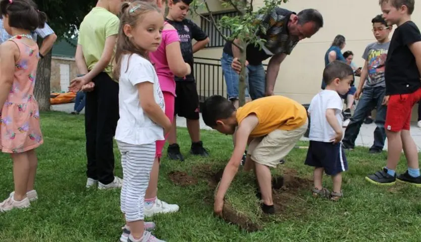 Mozárbez niños plantación árboles