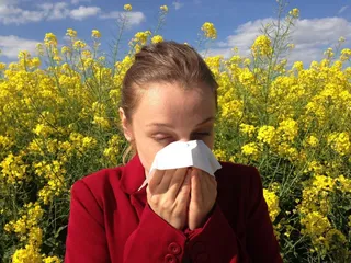 Alergia conjuntivitis