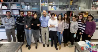 Equipo de laboratorio dirigido por el profesor Eugenio Santos